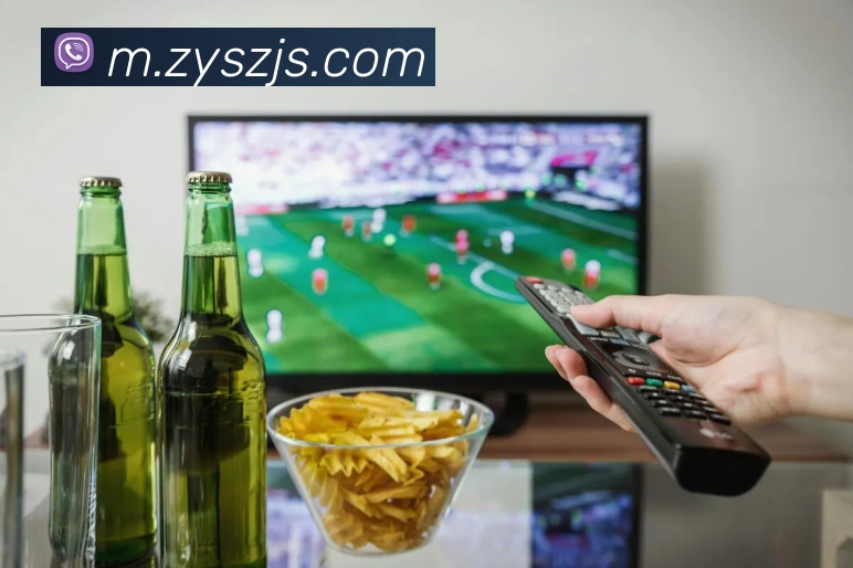 多媒体互动体验